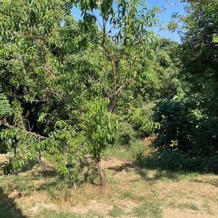 Type 2 * Bastia (Corsica)