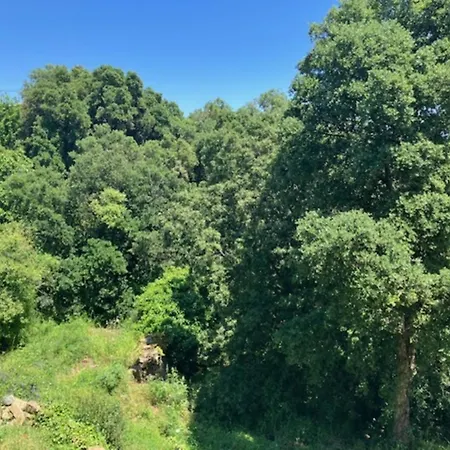 Villa Type 2 Bastia (Corsica)