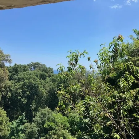 Type 2 Bastia (Corsica)