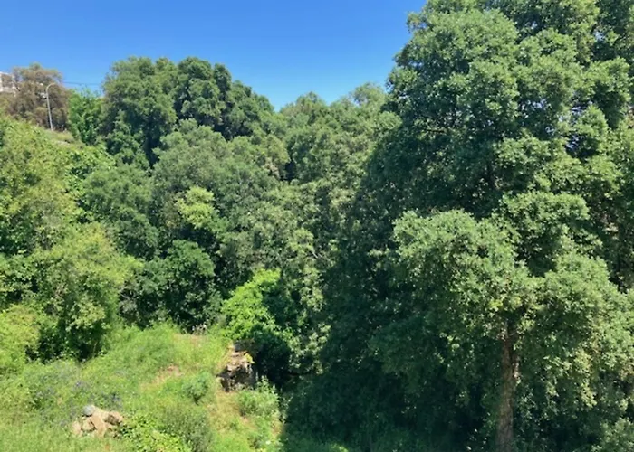 Villa Type 2 Bastiya